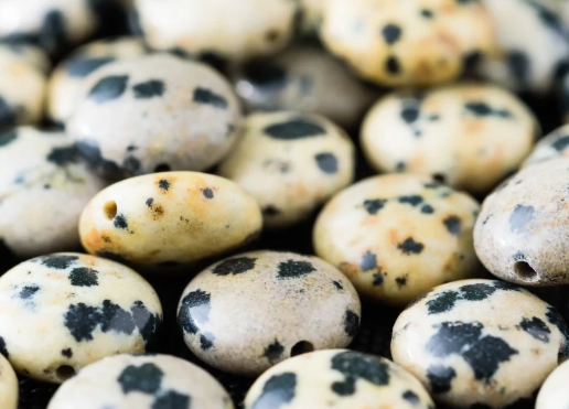 how to use dalmatian jasper