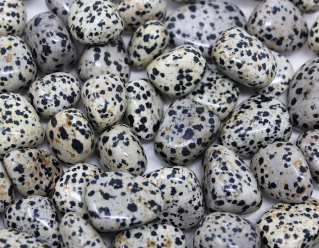 dalmatian jasper meaning