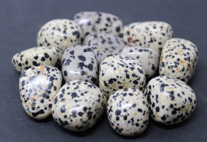dalmatian stone meaning