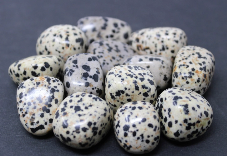 dalmation jasper