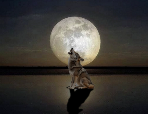 wolf moon meaning