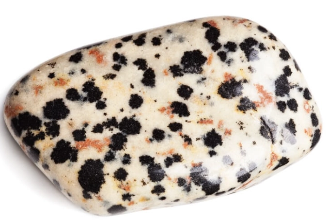 how to use dalmatian jasper