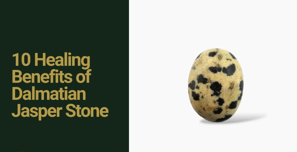 Dalmatian jasper benefits