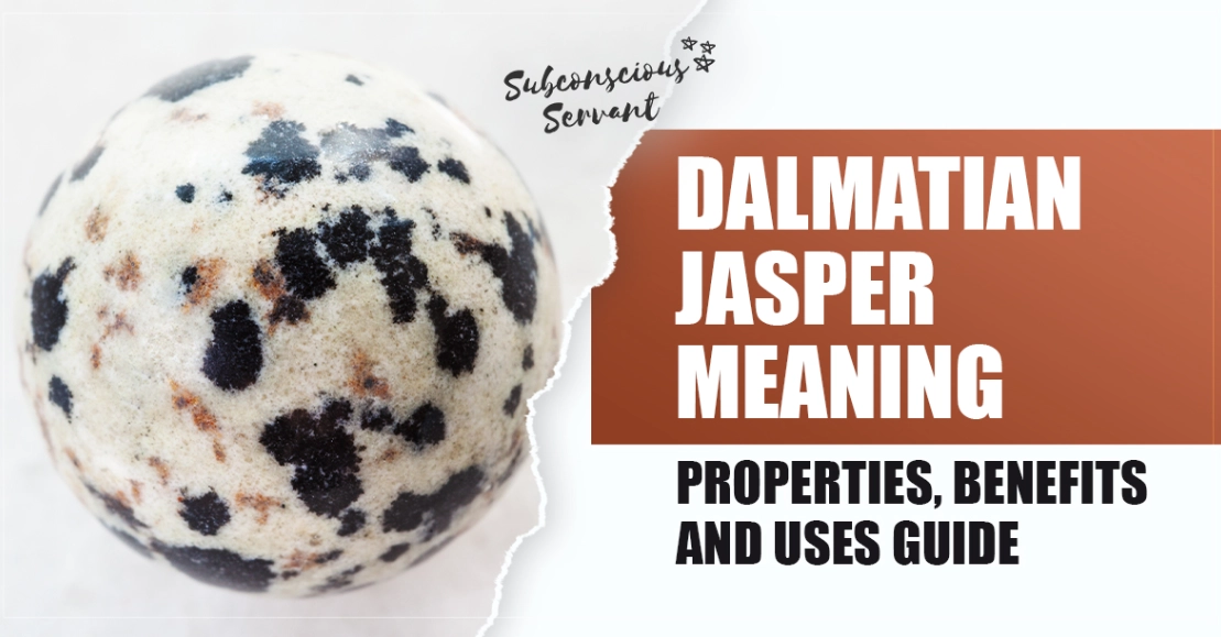 Dalmatian Jasper chakra