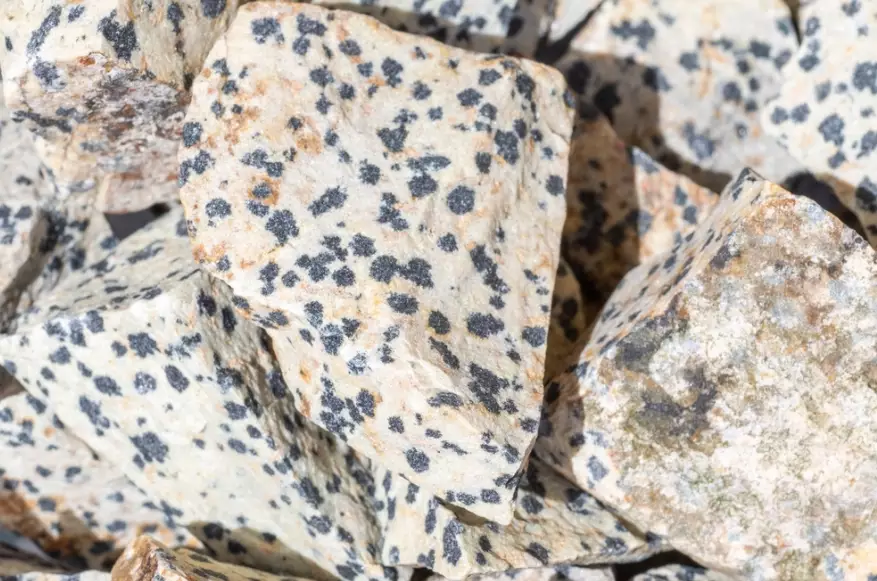 Dalmatian jasper rarity