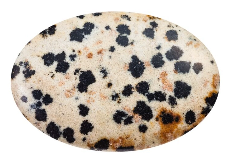 Dalmatian Jasper meaning