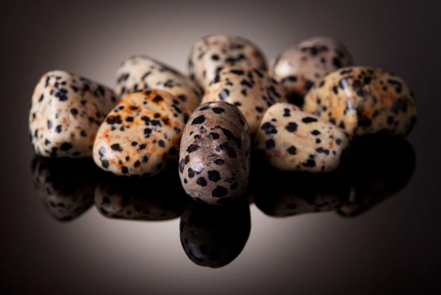 Dalmatian Jasper meaning