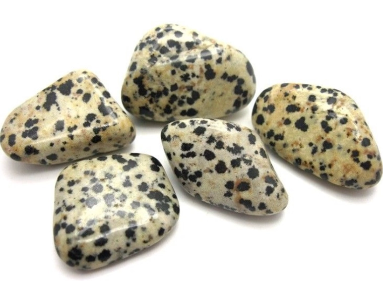 Dalmatian Jasper vs. Dalmatian Stone